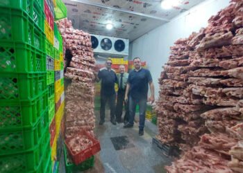 ضبط 30 طن هياكل ودهون ومخلفات الفراخ مجهولة المصدر بالجيزة بغرض إعادة استخدامها في صناعة...
