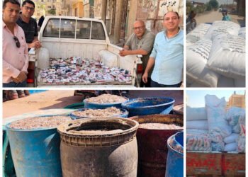 تحرير 1644 محضراً تموينياً متنوعاً بالفيوم