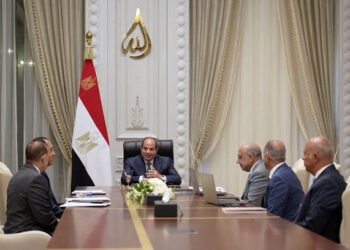 الرئيس السيسي يؤكد على أهمية دعم توطين الصناعات المُرتبطة بالطاقة الجديدة والمُتجددة