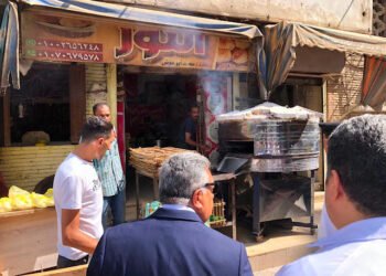 محافظ الدقهلية يقرر غلق فرن بمحيط مستشفى المنصورة التخصصي لحين استيفاء اشتراطات السلامة