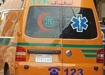 إصابة سيدة فى مشاجرة بمركز جرجا بسوهاج