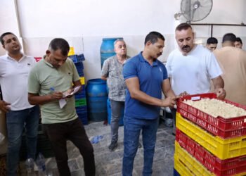 تموين الفيوم ضبط مصنع غير مرخص لإنتاج الجبنة الموتزاريلا والتحفظ على 765 كيلو جبن غير...