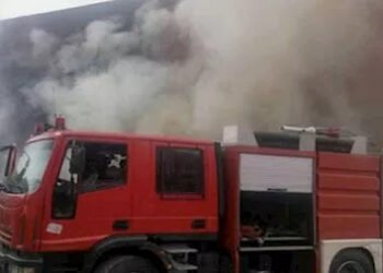 نفوق 5 مواشي فى اندلاع حريق داخل حوش منزل فى البلينا بسوهاج دون إصابات بشرية