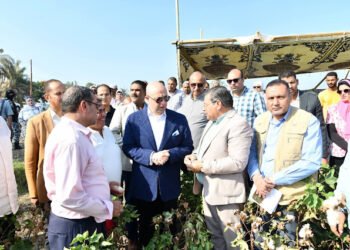 محافظ الفيوم يفتتح موسم جني القطن بأحد الحقول الزراعية بسنورس