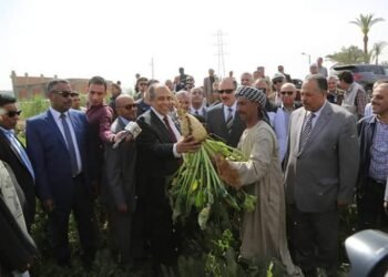 كشف حساب مركز البحوث الزراعية بمناسبة مرور عام على تولي ابوستيت حقيبة الزراعة