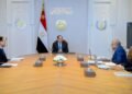 الرئيس السيسي يؤكد ضرورة العمل على توطين صناعات الرمال السوداء والعناصر النادرة