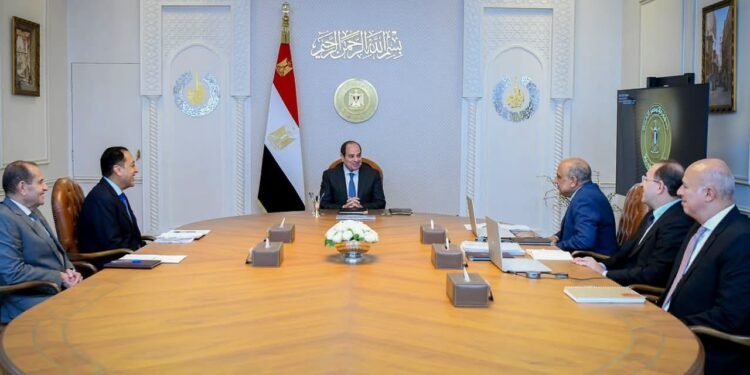 الرئيس السيسي يؤكد ضرورة العمل على توطين صناعات الرمال السوداء والعناصر النادرة